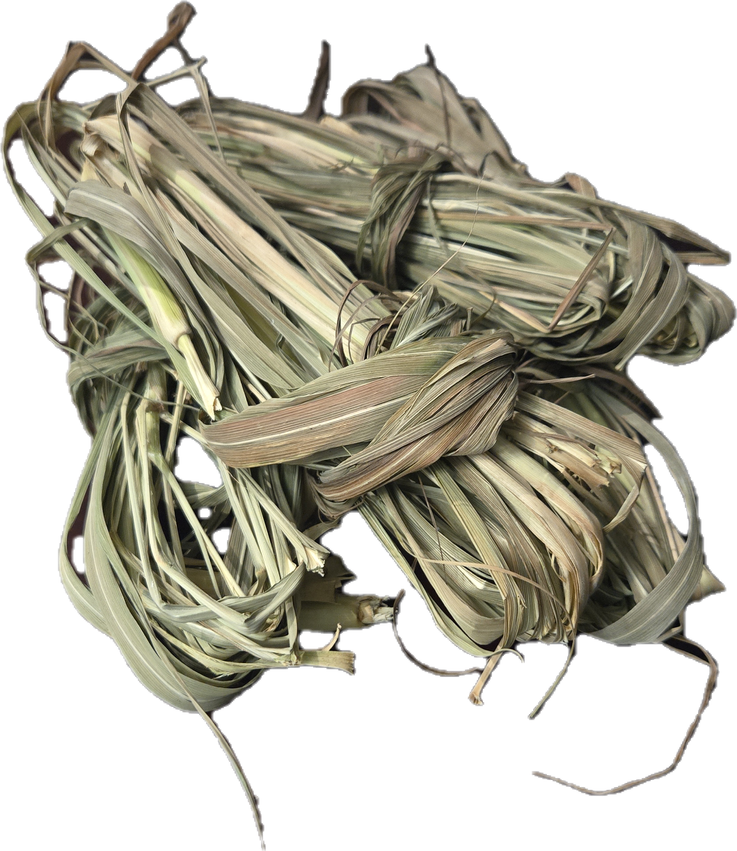 Fever Grass (Cymbopogon nardus)