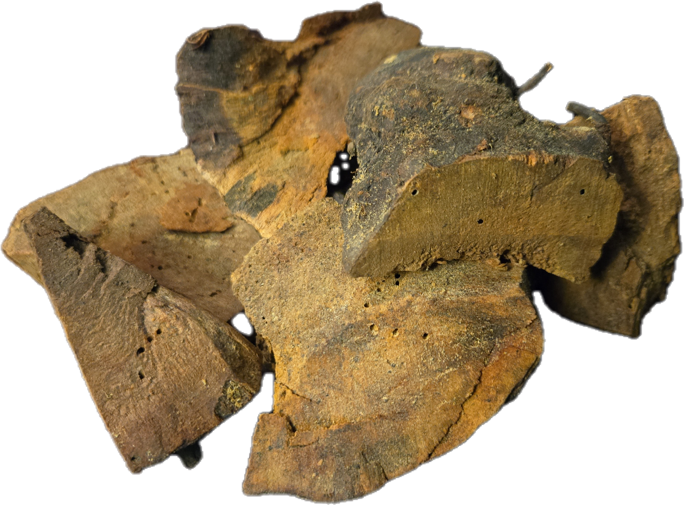 China Root (Smilax lanceolata)