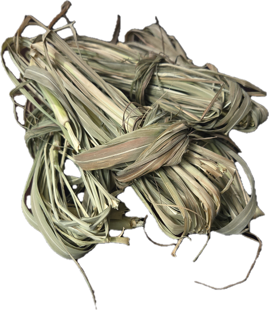 Fever Grass (Cymbopogon nardus)