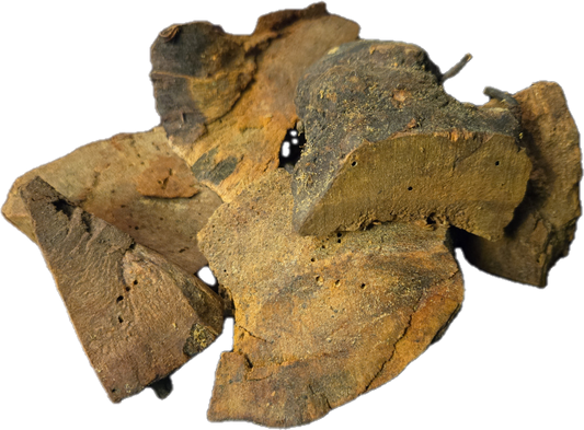 China Root (Smilax lanceolata)