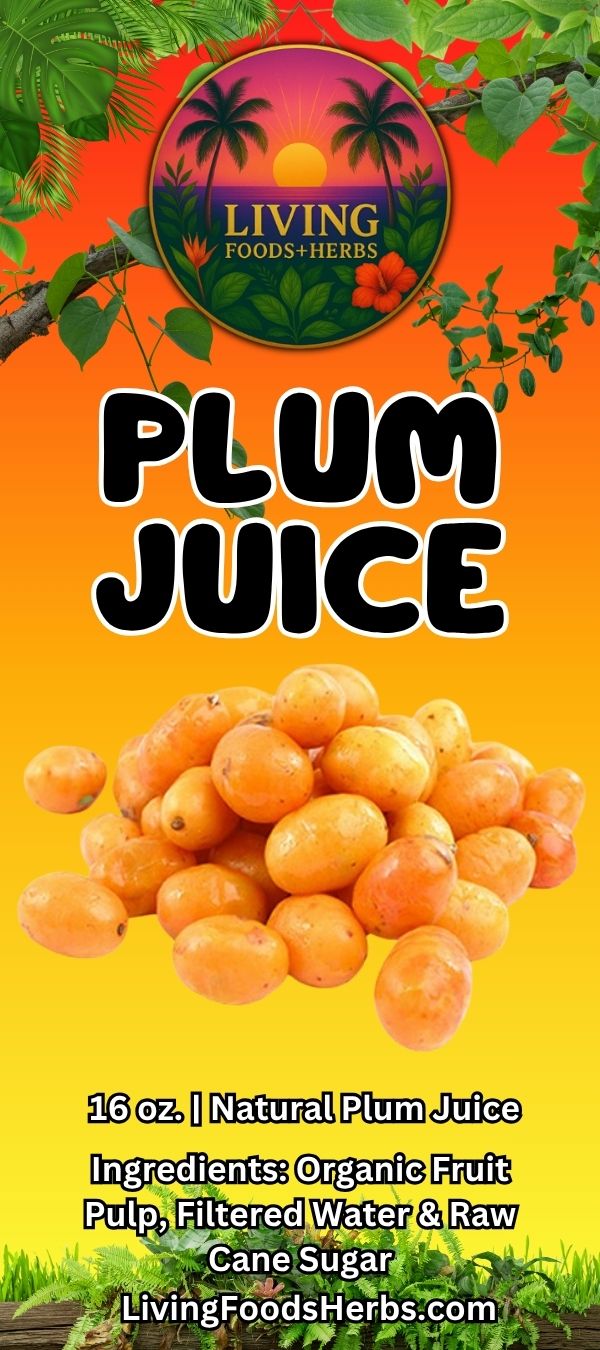 Plum Juice (16 oz)