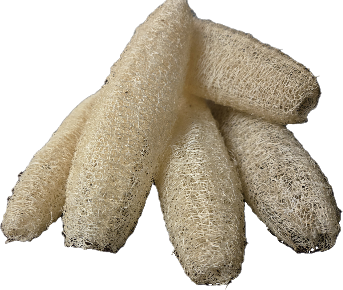 Nenwa (Luffa Aegyptiaca)